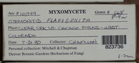 Image Associated With the Occurence